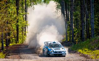The 2015 Subaru WRX STI blasts through the forest The 2015 Subaru WRX STI blasts through the forest
